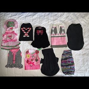 Bundle of small dog clothes (my dog under 3 lbs)
